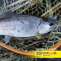 VARIVAS Super Yamame leader with a stream trout